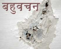 Bahuvachan